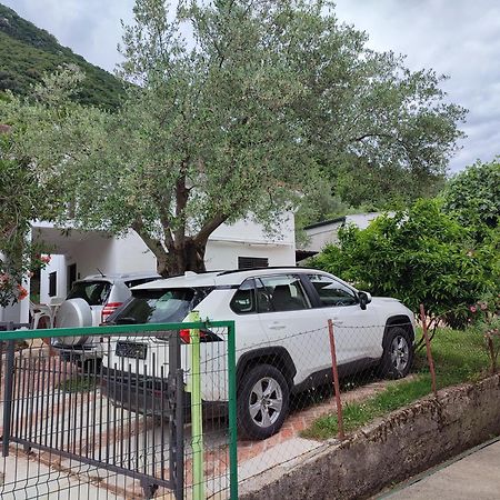 Holiday House In The Kotor Bay المظهر الخارجي الصورة