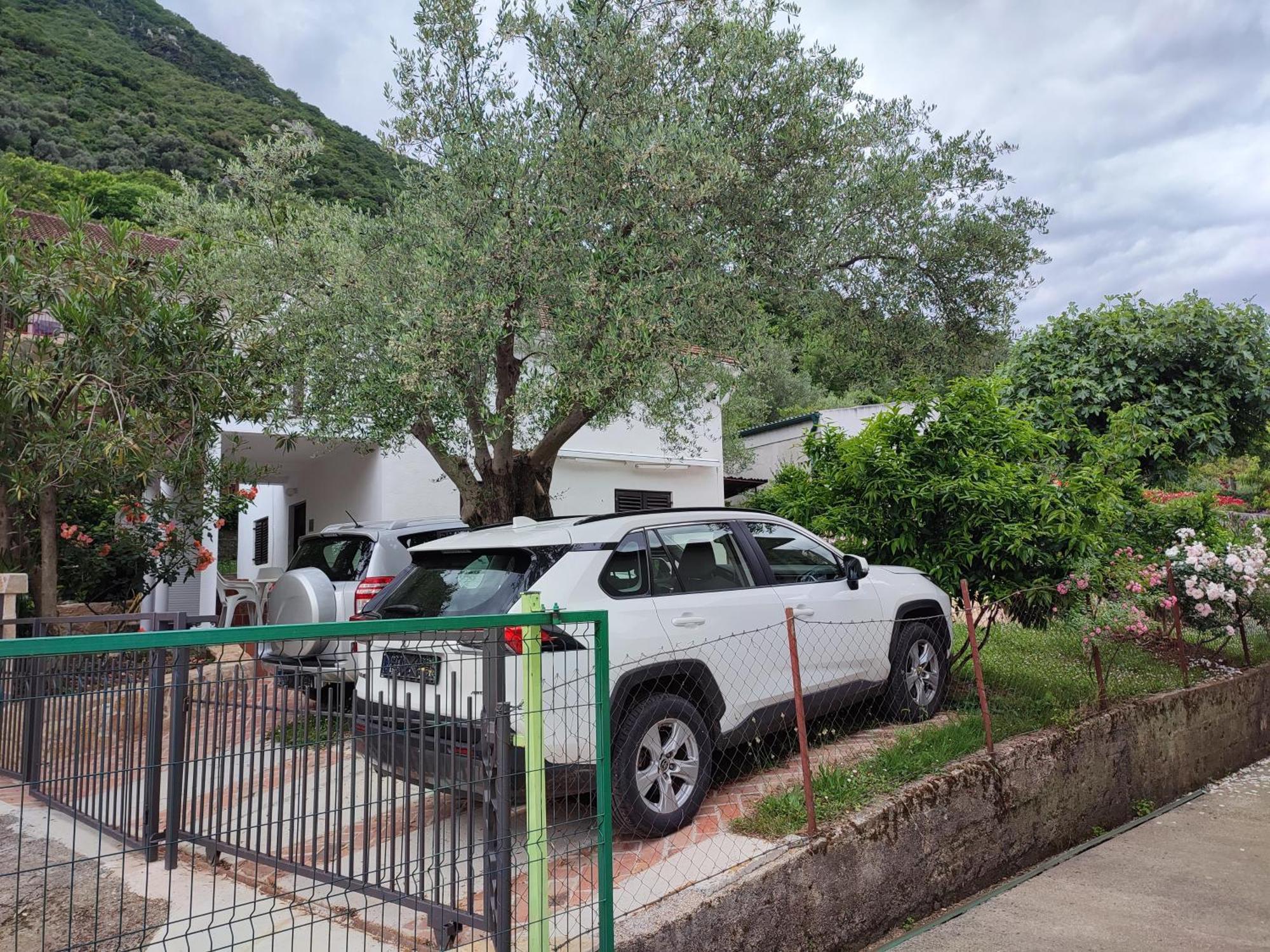 Holiday House In The Kotor Bay المظهر الخارجي الصورة